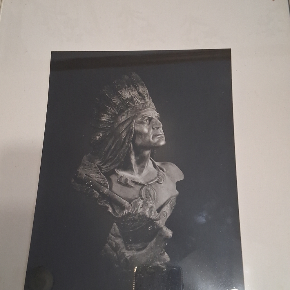 Native American Chief Bust Art Print